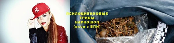 ешки Балахна