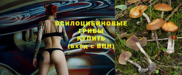 дурь Аркадак