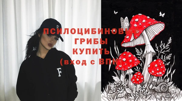 ешки Балахна