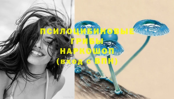 бошки Саяногорск