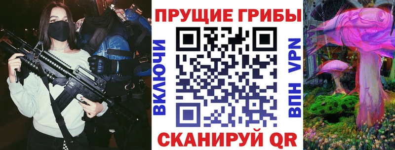 Псилоцибиновые грибы Cubensis  Верея 